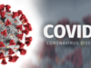 Virus Corona Bolmut