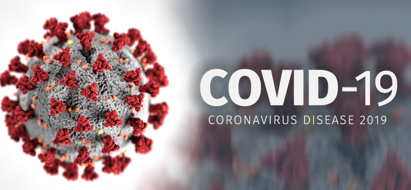 Virus Corona Bolmut