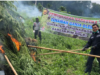 Polri Ladang Ganja